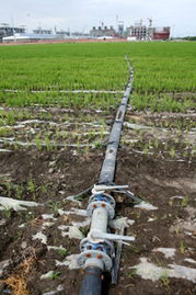 天業大力使用低汞觸媒，敢當中國氯堿行業無汞化的探路先鋒